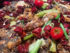 -老板恋上鱼(恒隆广场店)