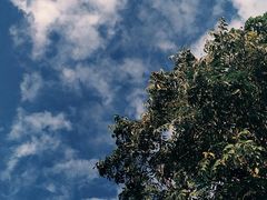 -聚聚火锅.欢聚到半夜(静海店)