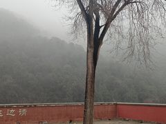 -潭柘寺景区
