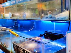 水产区-喜庭海鲜自助(来福士店)