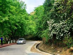 -广州市石门国家森林公园
