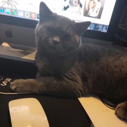 -飛凡TATTOO纹身•原创