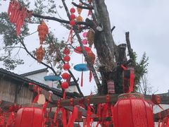 -婺源梦里老家大型山水实景演出