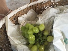 -马陆小张葡萄园农家乐