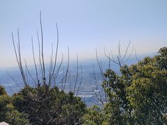 -杭州半山国家森林公园