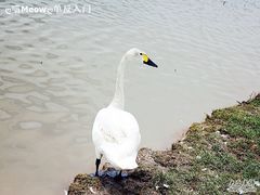 崇明度假游-上海怡沁园度假酒店