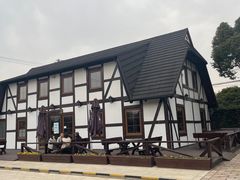 -金山农民画村-枫泾波兰倒置屋