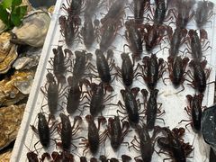 -三个渔夫·蒸汽海鲜(小白楼店)