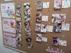 -doladola(徐家汇店)