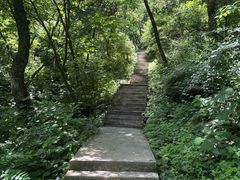 -西安祥峪森林公园