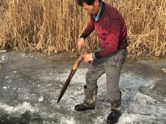-白洋淀锅里口灶台鱼