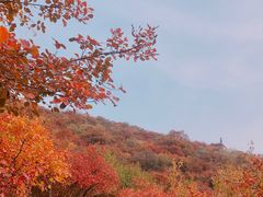 -周口店坡峰岭风景区