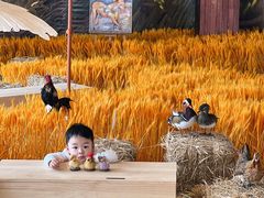 -中国天府农业博览园