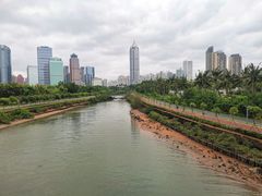 -万绿园