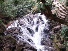 -莫里热带雨林景区