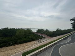 -宝安西湾红树林湿地公园