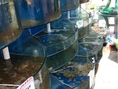 -鼎盛山海火锅(北戴河刘庄夜市老虎石浴场店)