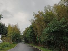 -池州市平天湖风景区