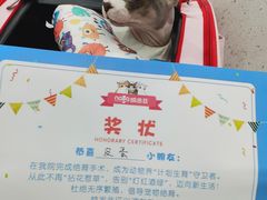 -纳吉亚猫专科动物诊疗中心(蒋宅口分院)