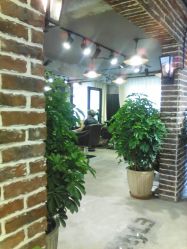 点击看大图 环境-P.STYLE 派斯造型