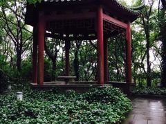 iphone_upload_pic-上海市保健医疗中心(华东疗养院)