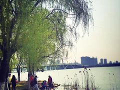 -蠡湖大桥公园