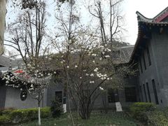 -四川大学(华西校区)
