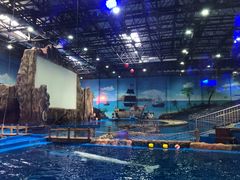 -华夏文旅海洋公园