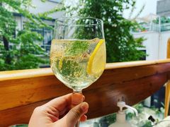 接骨木气泡酒-BOTTEGA意库(中骏世界城店)