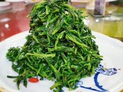 清香枸杞苗-国强手抓(北京西路店)