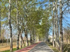 -东郊湿地公园