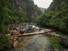 -石台牯牛降景区