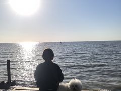 -洪泽湖古堰景区