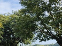 -东莞植物园