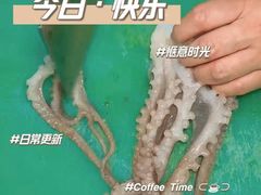 -喜来酌海鲜·饺子(和平一店)