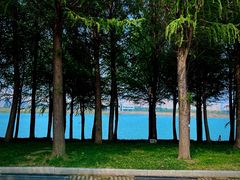 -贡湖湾湿地公园