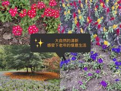 -黑龙江省森林植物园