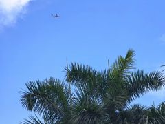 -广州绿地中央广场