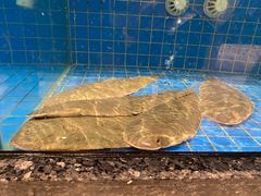 -聚福宝合苑食府(南头镇店)