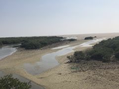 -北海金海湾红树林生态旅游区