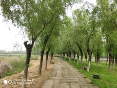 -艾溪湖湿地公园