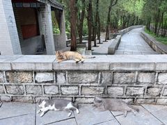 -四门塔风景区