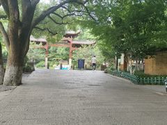 -杭州半山国家森林公园