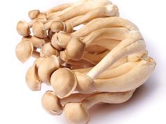 鹿茸菇-盒马鲜生(首义店)