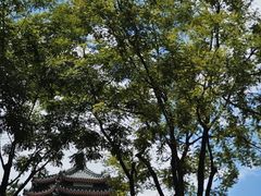 -中国农业博物馆