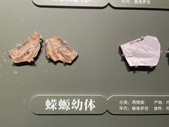 -遇见博物馆(遇见海洋沉浸式奇幻光影展)
