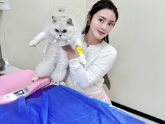 -美联众合动物医院·24h京西诊疗中心