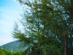 -巽寮印象美食部落餐厅·海鲜·地方特色菜(惠州体验店)