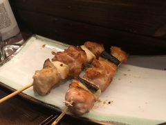 鸡肉葱-TINY