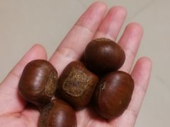 -粒上皇(崇文门店)